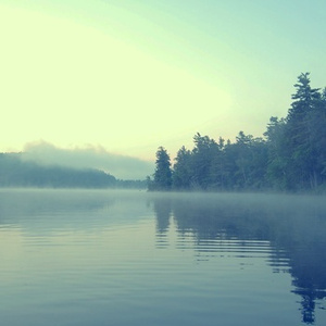 婷婷五月天丁香
